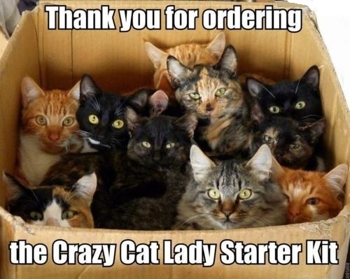 Thand%20you%20for%20ordering%20the%20Crazy%20Cat%20Lady%20Starter%20Kit.jpg